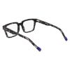Picture of Zeiss Eyeglasses ZS22522