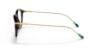 Picture of Polo Eyeglasses PH2241
