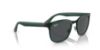 Picture of Ray Ban Sunglasses RB3709