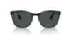 Picture of Ray Ban Sunglasses RB3709