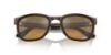 Picture of Ray Ban Sunglasses RB3709