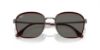 Picture of Ray Ban Sunglasses RB3720