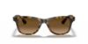 Picture of Ray Ban Sunglasses RB4640