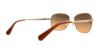 Picture of Coach Sunglasses HC7080