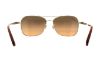 Picture of Coach Sunglasses HC7080