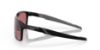 Picture of Oakley Sunglasses PORTAL X