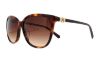 Picture of Swarovski Sunglasses SK0146-H