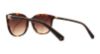 Picture of Swarovski Sunglasses SK0146-H