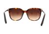 Picture of Swarovski Sunglasses SK0146-H