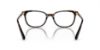 Picture of Swarovski Eyeglasses SK2003