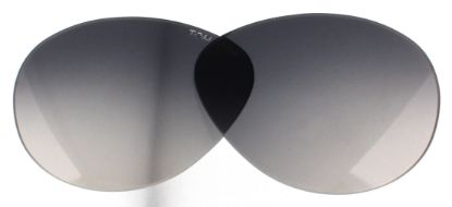 Picture of Tom Ford Replacement Lenses FT0342