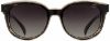 Picture of INVU Sunglasses INVU-174