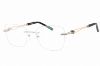 Picture of Charriol Eyeglasses PC71061