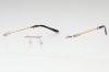 Picture of Charriol Eyeglasses PC75063