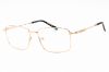 Picture of Charriol Eyeglasses PC75101