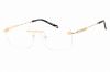 Picture of Charriol Eyeglasses PC75103