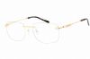 Picture of Charriol Eyeglasses PC75104