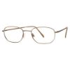 Picture of Aristar Eyeglasses AR 6765