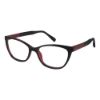 Picture of Awear Eyeglasses CC 3705