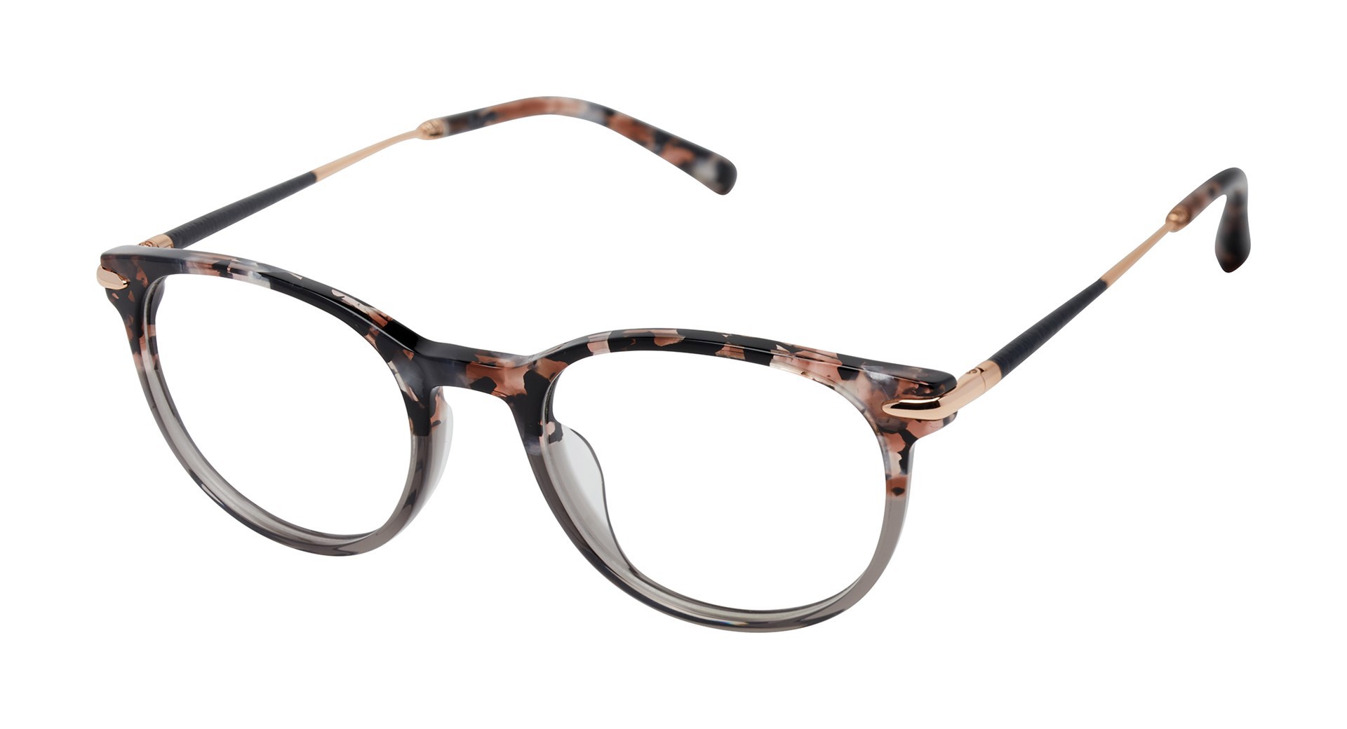 Picture of Barbour Eyeglasses BAOW021