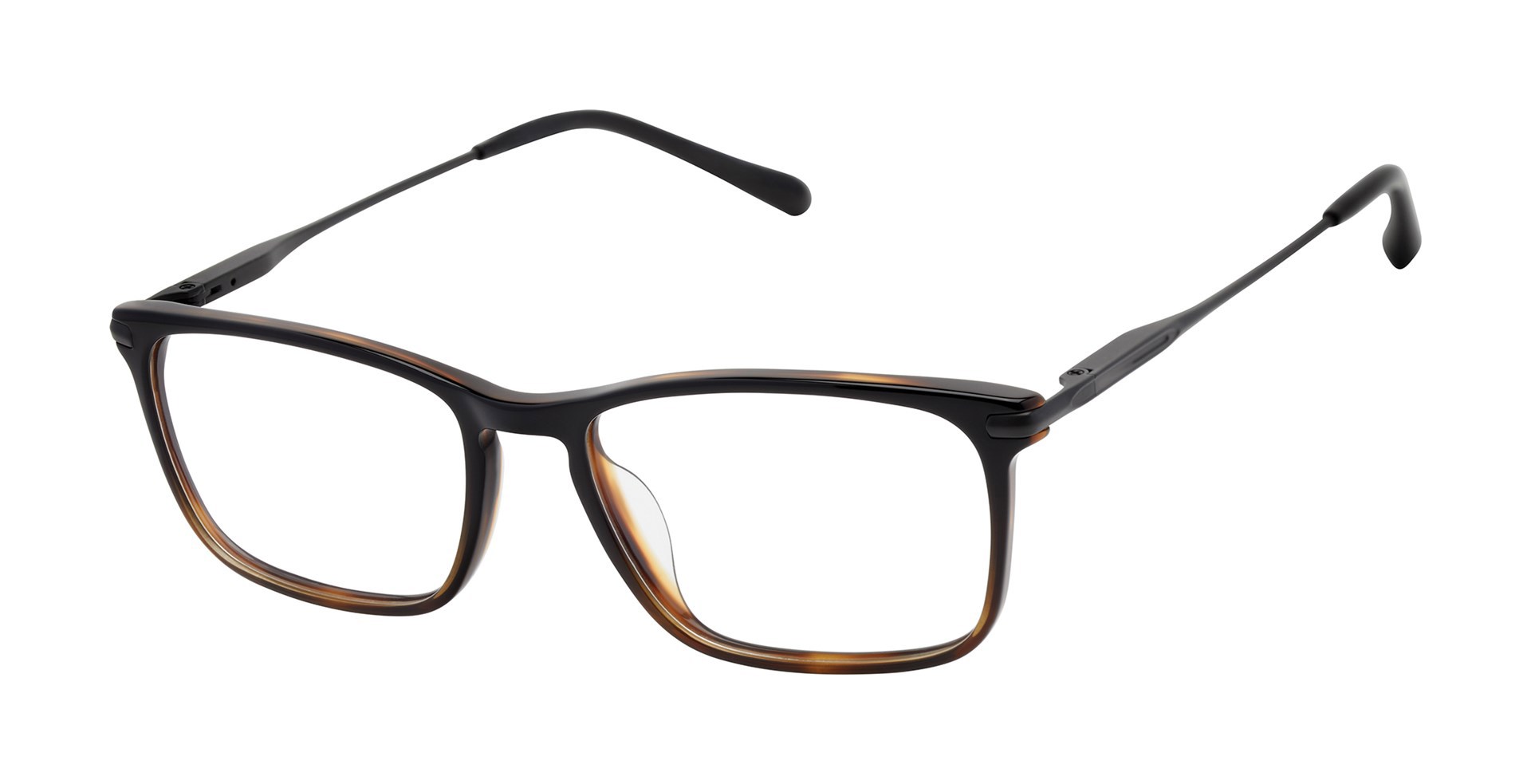 Picture of Barbour Eyeglasses BAOM018