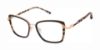 Picture of Barbour Eyeglasses BAOW023