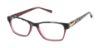 Picture of Barbour Eyeglasses BAOW022