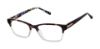 Picture of Barbour Eyeglasses BAOW022
