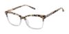 Picture of Barbour Eyeglasses BAOW019