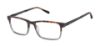 Picture of Barbour Eyeglasses BAOM019