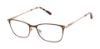 Picture of Barbour Eyeglasses BAOW510