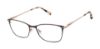 Picture of Barbour Eyeglasses BAOW510