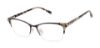 Picture of Barbour Eyeglasses BAOW508