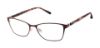 Picture of Barbour Eyeglasses BAOW507