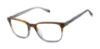 Picture of Barbour Eyeglasses BAOM014