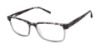 Picture of Barbour Eyeglasses BAOM012