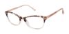 Picture of Barbour Eyeglasses BAOW014