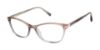 Picture of Barbour Eyeglasses BAOW014