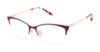 Picture of Barbour Eyeglasses BAOW505