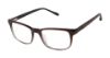 Picture of Barbour Eyeglasses BAOM008