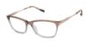 Picture of Barbour Eyeglasses BAOW013