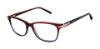 Picture of Barbour Eyeglasses BAOW003