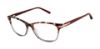 Picture of Barbour Eyeglasses BAOW003