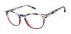 Picture of Barbour Eyeglasses BAOW001