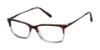 Picture of Barbour Eyeglasses BAOM007