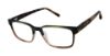 Picture of Barbour Eyeglasses BAOM005