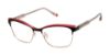 Picture of Barbour Eyeglasses BAOW501