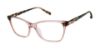 Picture of Barbour Eyeglasses BAOW009