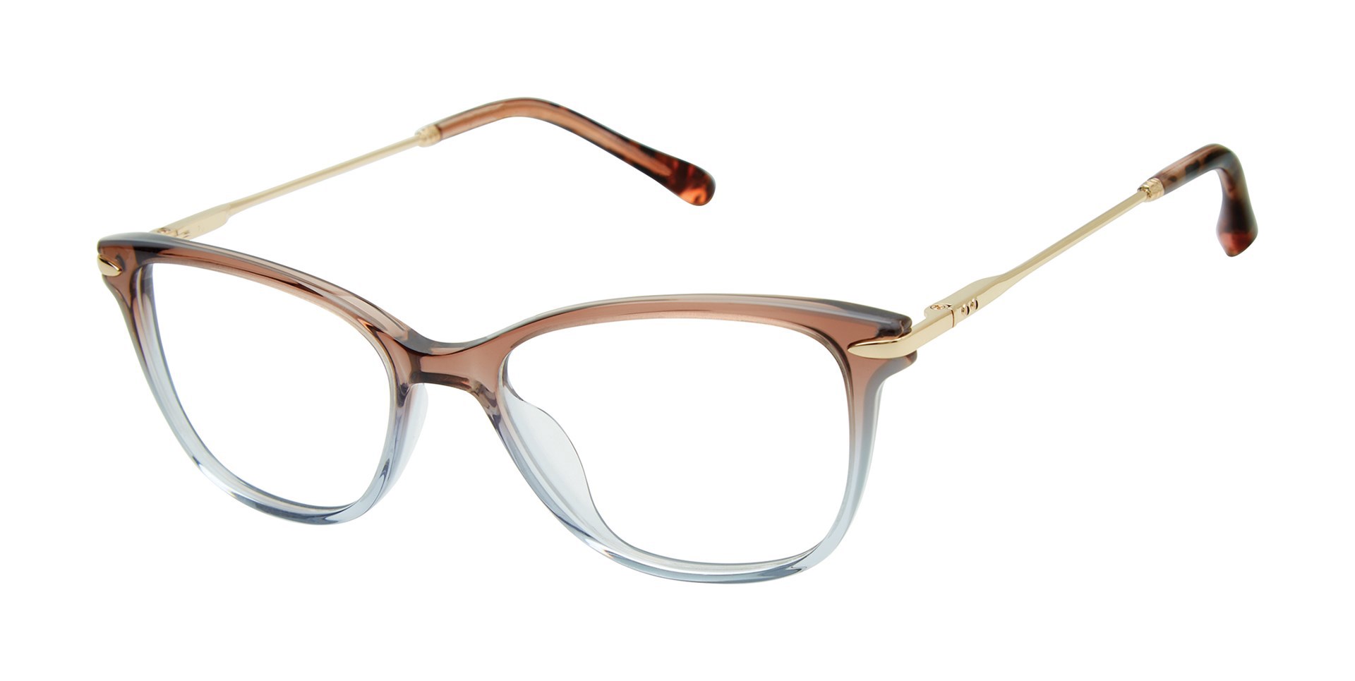 Picture of Barbour Eyeglasses BAOW005