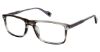 Picture of Ben Sherman Eyeglasses NEWGATE